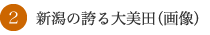 新潟の誇る大美田（画像）