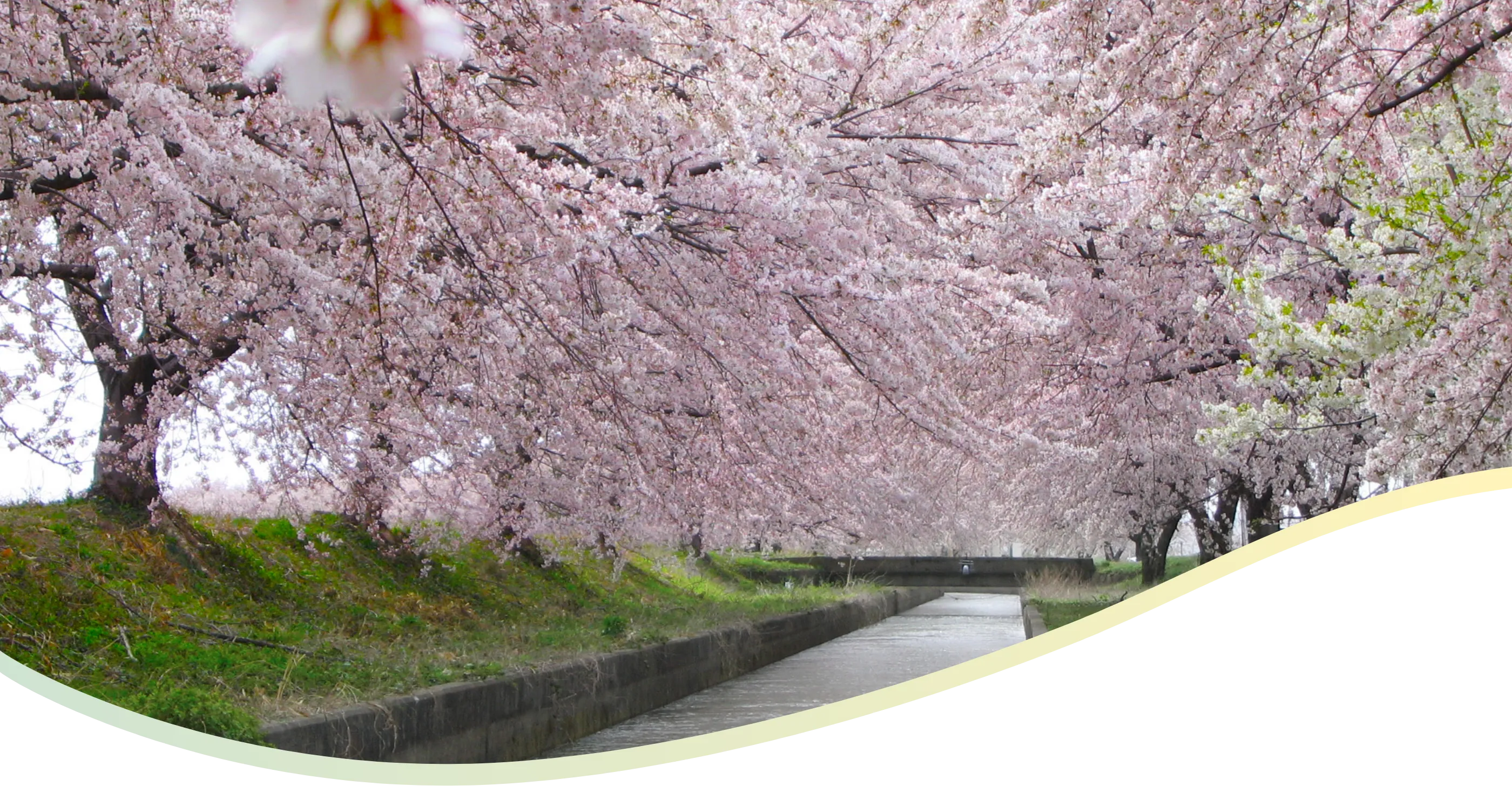 水の恵みを生かし、にいがたの未来へ届ける